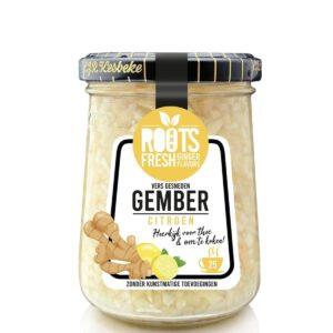 ROOTS GEMBER CITROEN